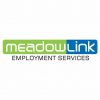 Meadowlink Employment Services